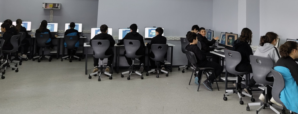 Siber kahraman görevi